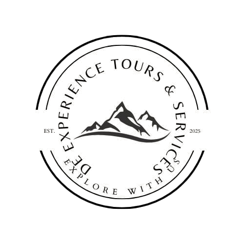 de_experience_logo_transparent